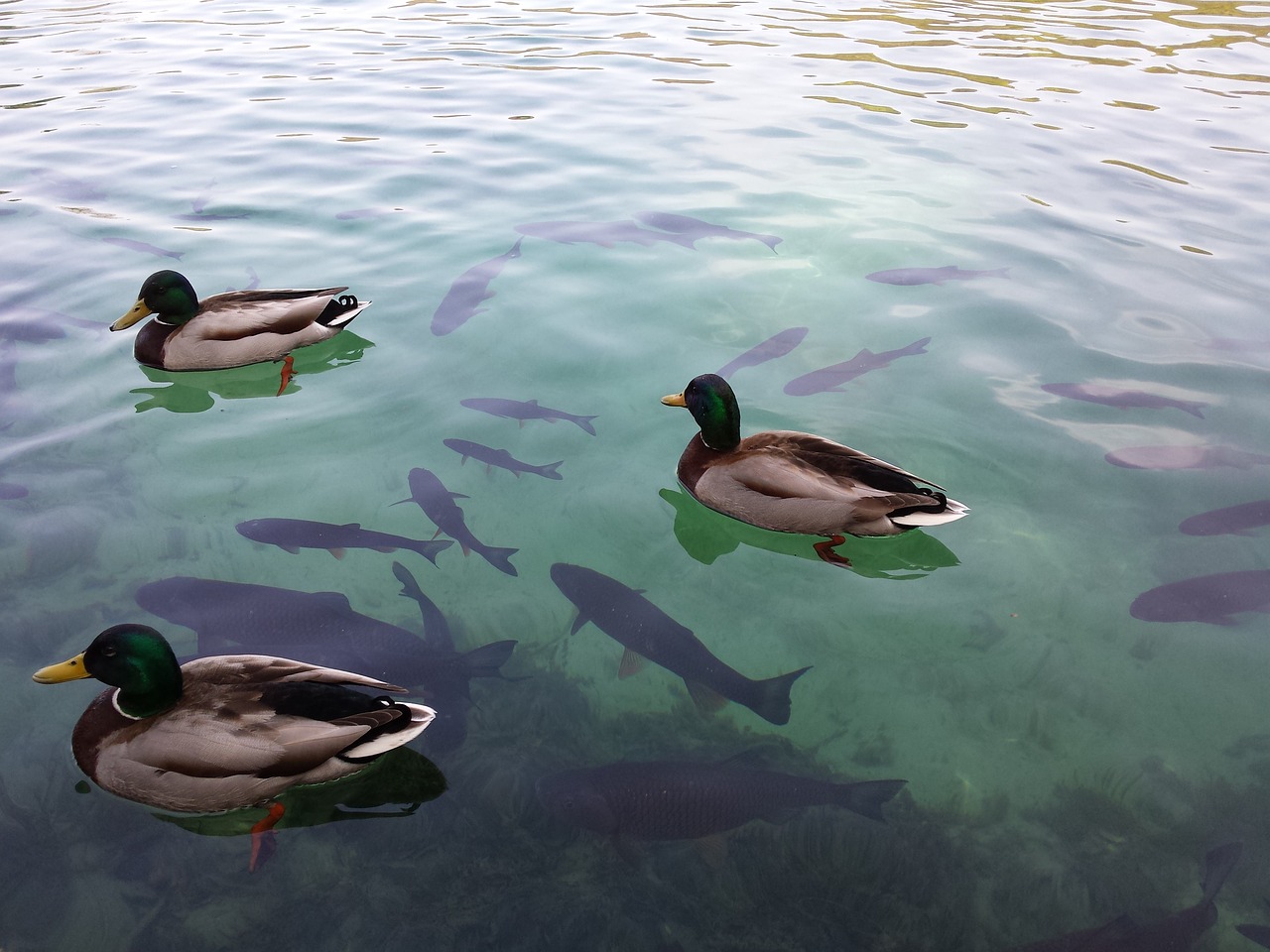 The Hidden Enclaves of Croatia’s Plitvice Lakes National Park